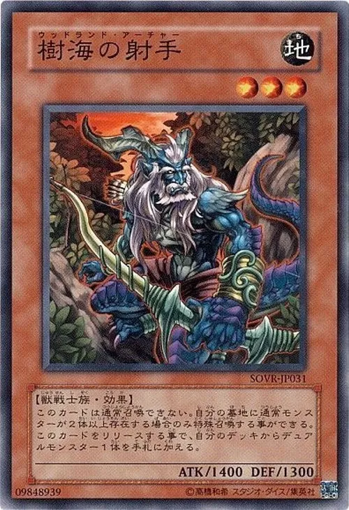 樹海の射手