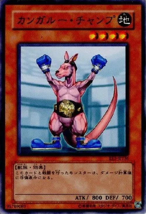 カンガルー・チャンプ