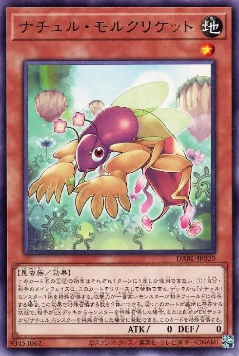 ナチュル・モルクリケット