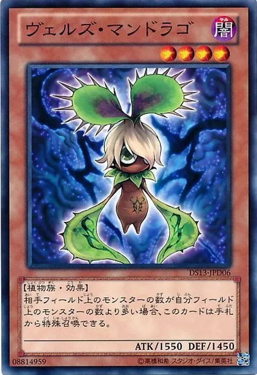 ヴェルズ・マンドラゴ