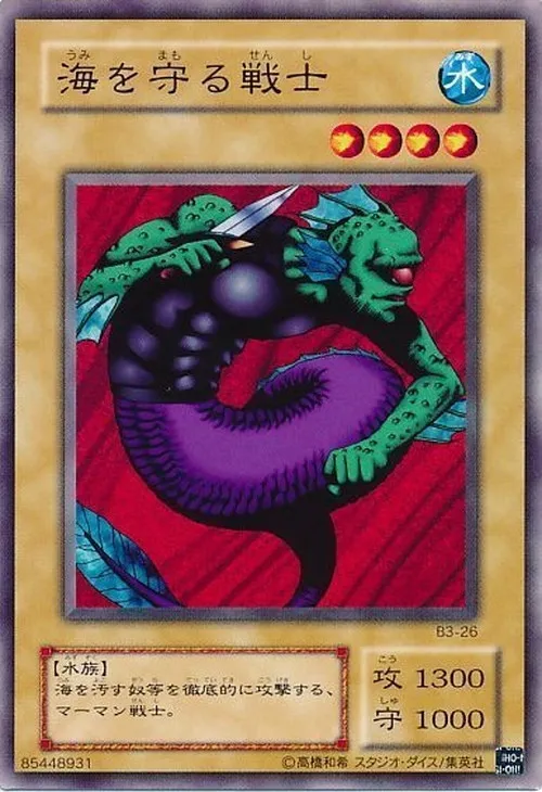 海を守る戦士