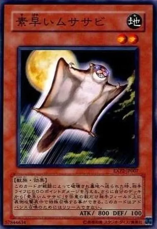 素早いムササビ