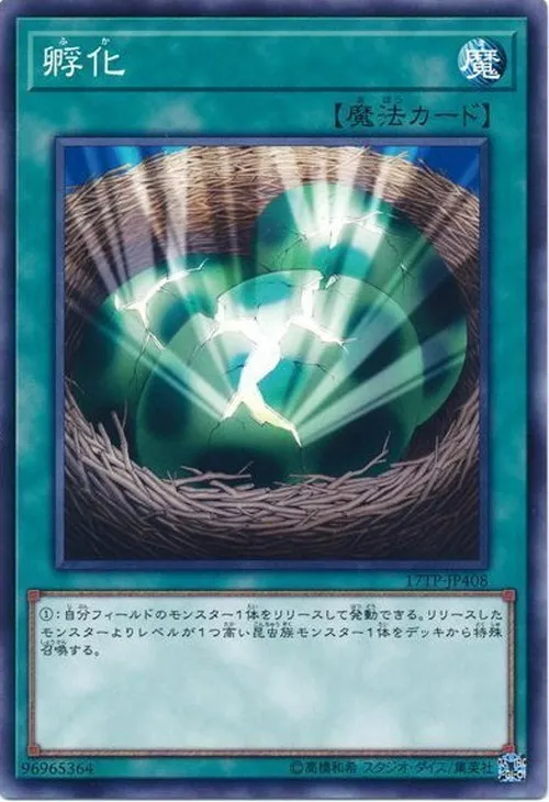 孵化