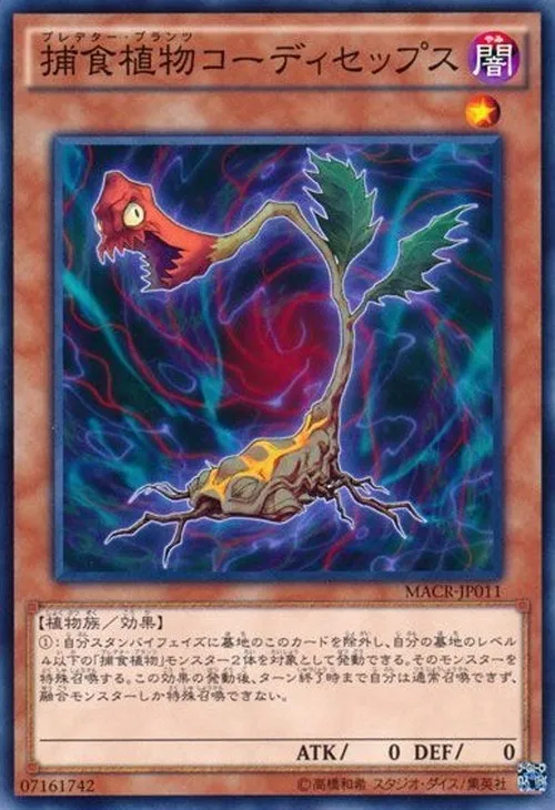 捕食植物コーディセップス