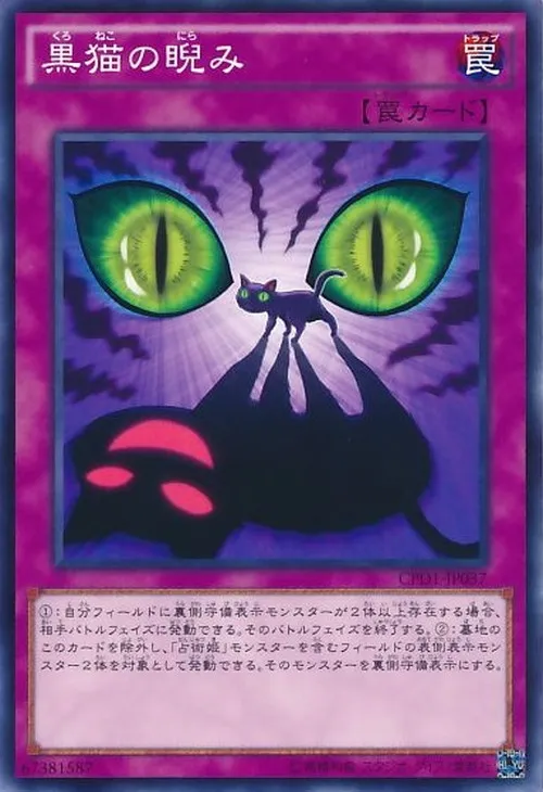 黒猫の睨み