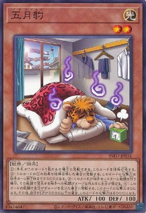 五月豹
