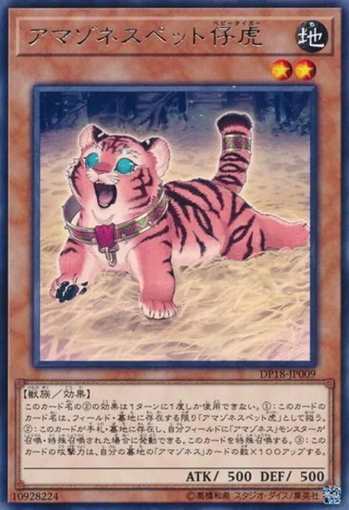 アマゾネスペット仔虎