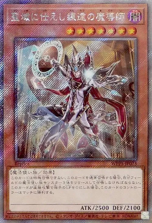 聖域に仕えし練達の魔導師