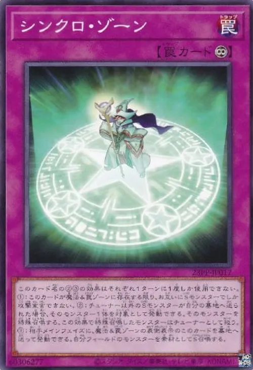 シンクロ・ゾーン