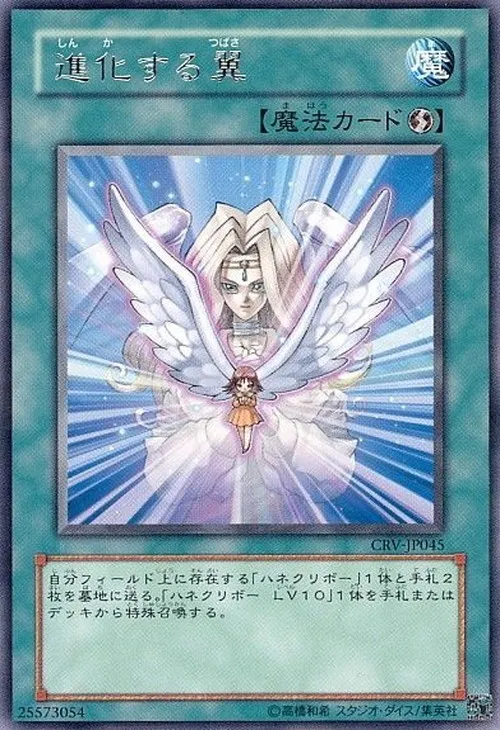 進化する翼