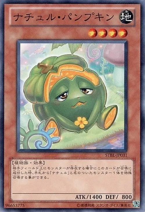 ナチュル・パンプキン