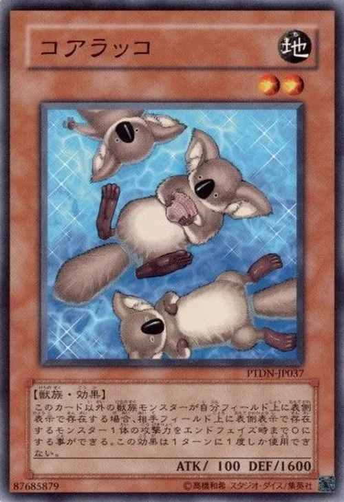 コアラッコ