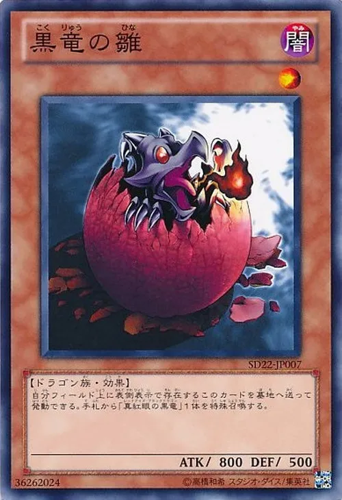 黒竜の雛