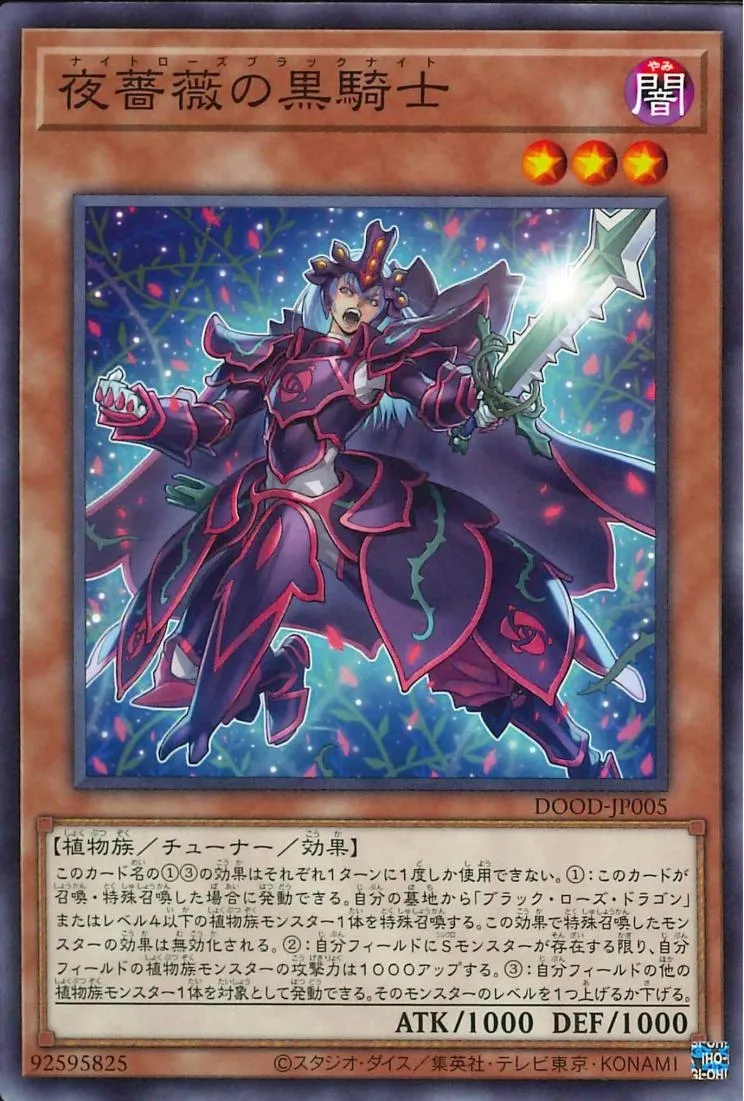 夜薔薇の黒騎士