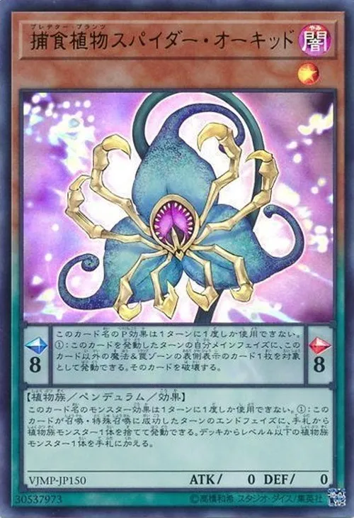 捕食植物スパイダー・オーキッド