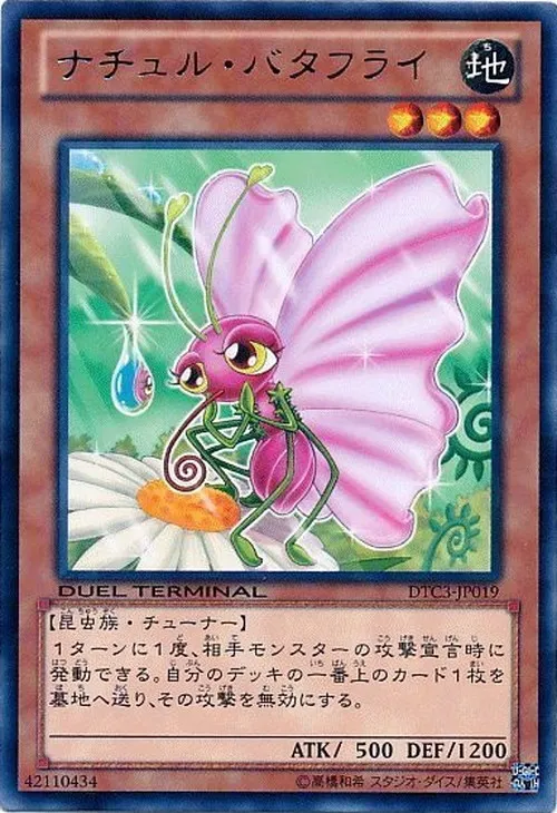 ナチュル・バタフライ