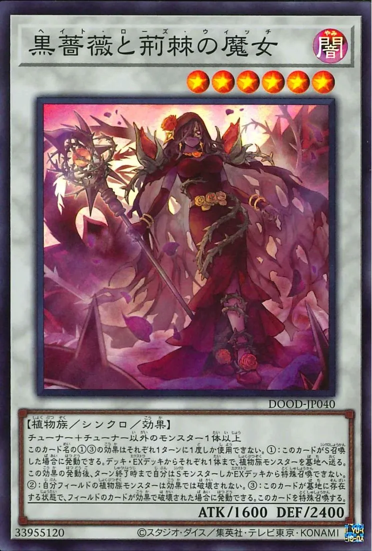 黒薔薇と荊棘の魔女