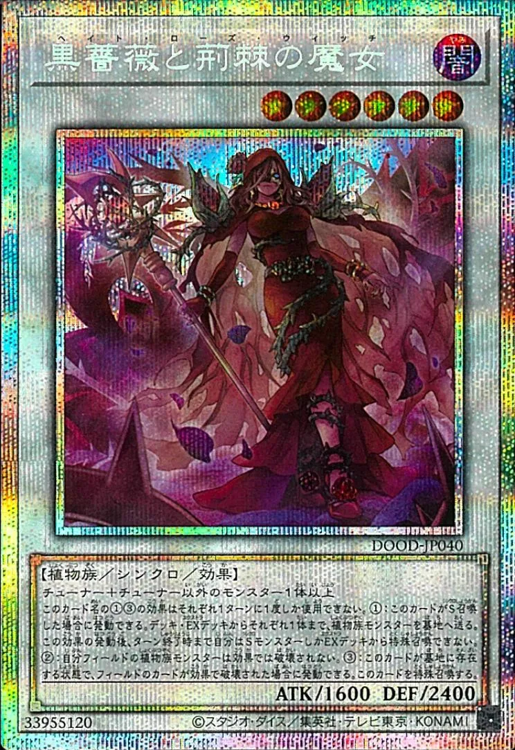 黒薔薇と荊棘の魔女