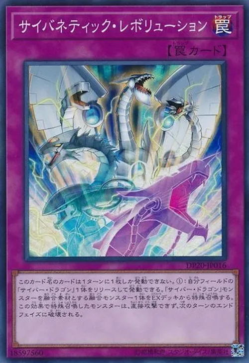 サイバネティック・レボリューション