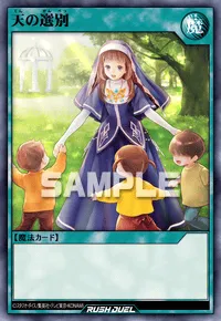 天の選別