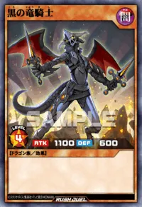 黒の竜騎士