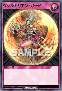 ヴァルキリアン・ガード