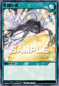 夢翔の愛