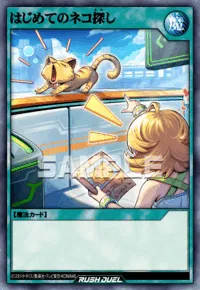 はじめてのネコ探し