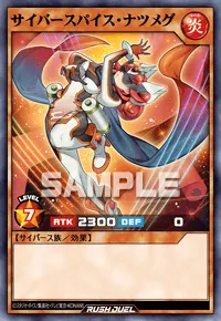 サイバースパイス・ナツメグ