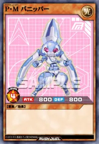 P・M バニッパー