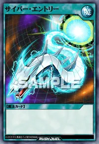 サイバー・エントリー