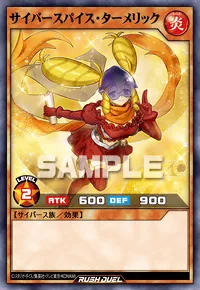 サイバースパイス・ターメリック