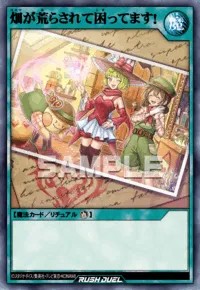 畑が荒らされて困ってます！