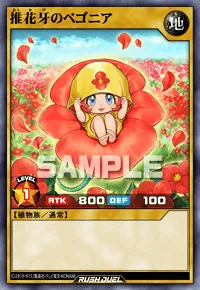 推花牙のベゴニア