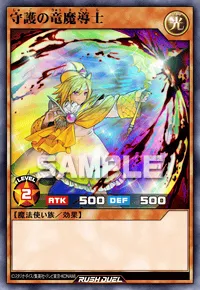 守護の竜魔導士