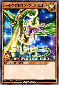シードクロトロン・ブラッセルン