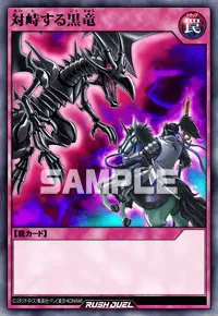 対峙する黒竜