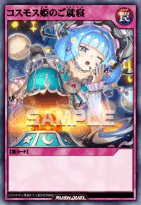 コスモス姫のご就寝
