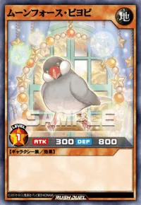 ムーンフォース・ピヨピ