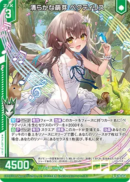 清らかな萌芽 ペクティリス