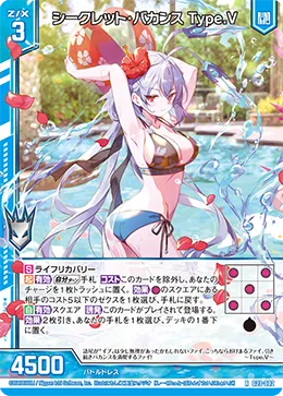 シークレット・バカンス Type.V
