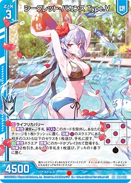 シークレット・バカンス Type.V