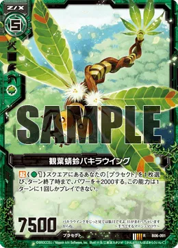 観葉蜻蛉パキラウイング