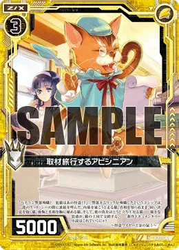 取材旅行するアビシニアン