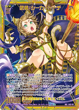 武装：シーカートーチ