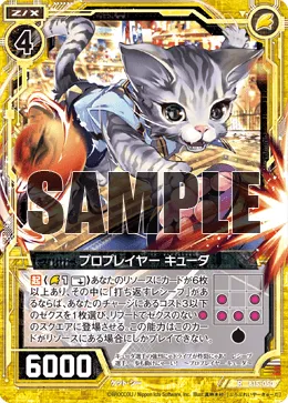 プロプレイヤー キューダ
