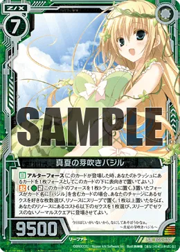 真夏の芽吹きバジル