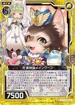天満神猫メインクーン