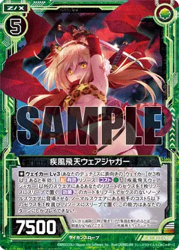 疾風飛天ウェアジャガー