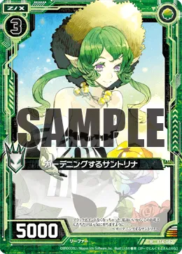 ガーデニングするサントリナ